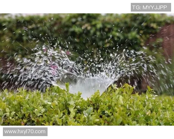 从零起步掌握网球技巧与策略全方位指南